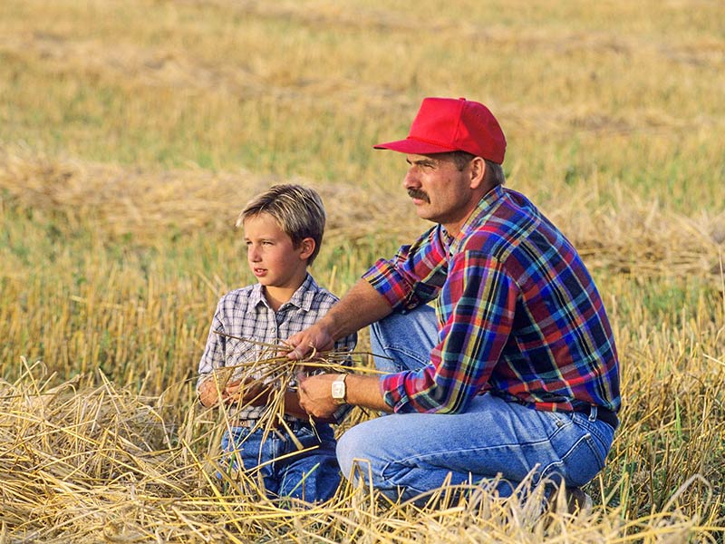 Father and son farmers planning for the future